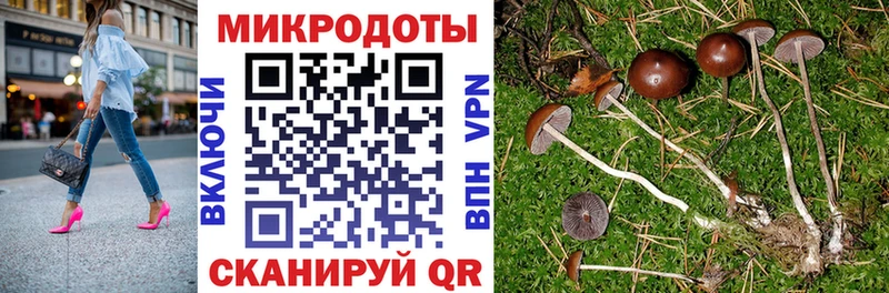 даркнет сайт  Перевоз  Псилоцибиновые грибы Cubensis 