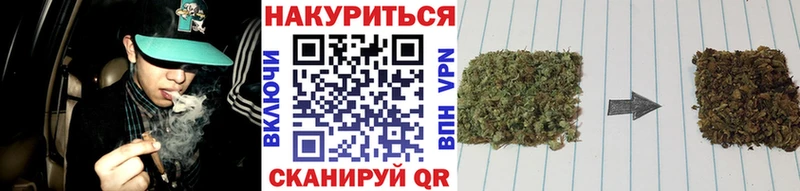где продают наркотики  mega   Марихуана THC 21%  Перевоз 